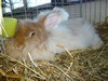 Bild00013 - Kopie