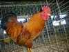 Bild00016 - Kopie