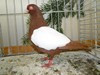 Bild00022 - Kopie