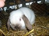 Bild00005