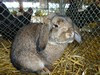 Bild00006