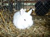 Bild00009 - Kopie
