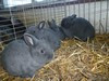 Bild00015 - Kopie