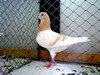 Bild00025 - Kopie
