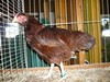 Bild00029 - Kopie