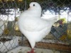 Bild00040 - Kopie
