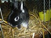 Bild00056