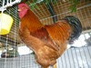 Bild00059 - Kopie